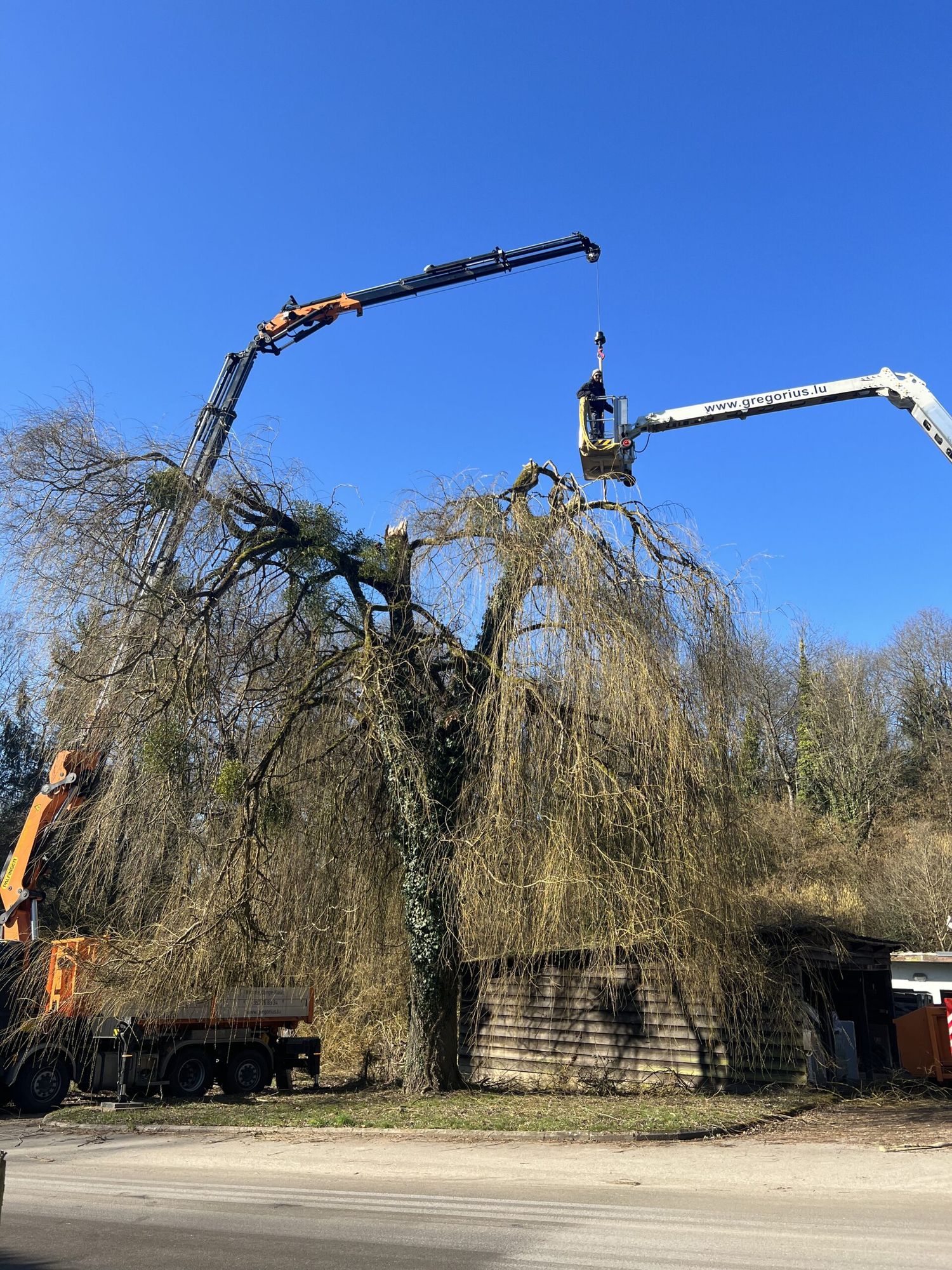 Kran-, Reparatur- & Instandhaltungsarbeiten